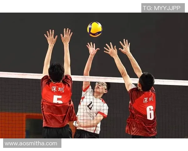广州排球队团队协作变革引发热议展现新风貌与竞技精神