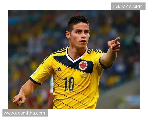 韩国足球迷热议国外足球明星的魅力与影响力分析